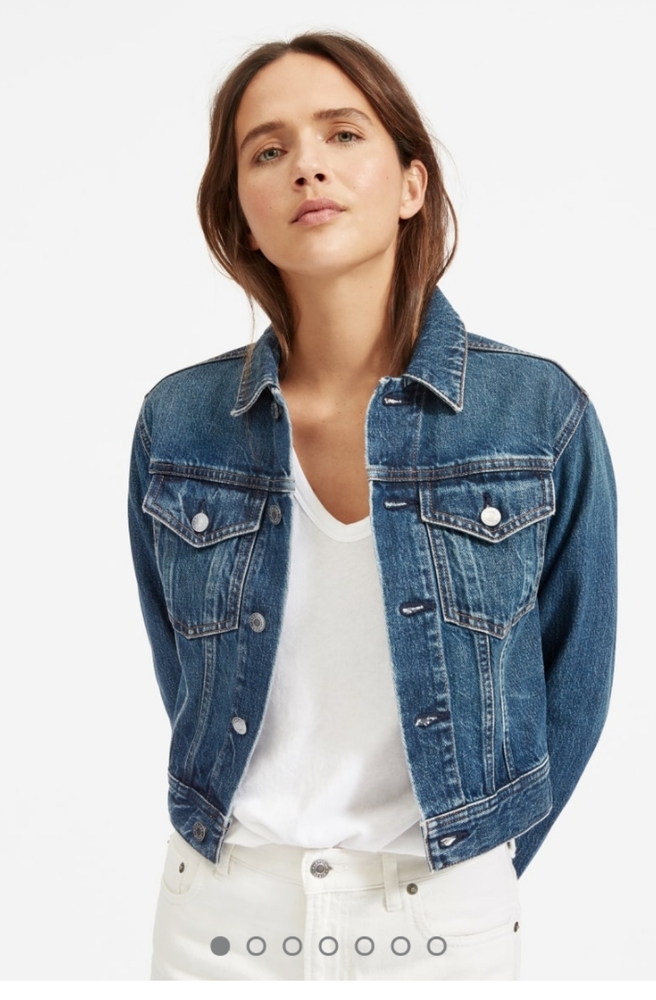 Everlane The Shrunken Denim Jacket